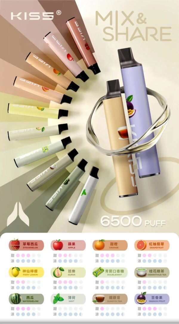 1-2505191R320963 kiss 一次性 抽完就丟 6500口 kiss凱斯
